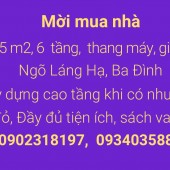 12 tỷ, 45 m2, 6 tầng,  Láng Hạ- Ngôi nhà lý tưởng của bạn đang chờ đợi